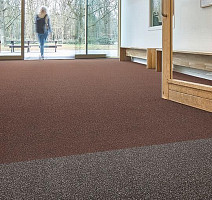 Forbo Coral в плитке 4764 Taupe фото 3 | FLOORDEALER